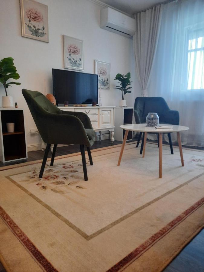 Apartament Thea Fagaras Exterior foto